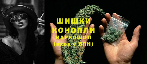 мдпв Богородск