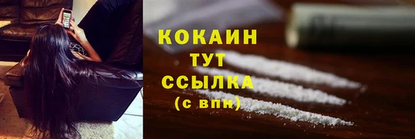 ГАЛЛЮЦИНОГЕННЫЕ ГРИБЫ Богданович
