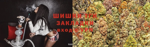 мдпв Богородск