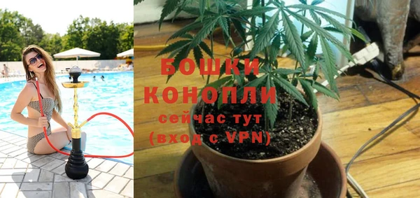 мдпв Богородск