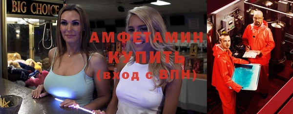 ГАЛЛЮЦИНОГЕННЫЕ ГРИБЫ Богданович