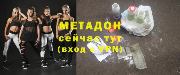 ГАЛЛЮЦИНОГЕННЫЕ ГРИБЫ Богданович