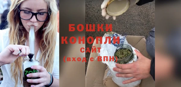 мдпв Богородск