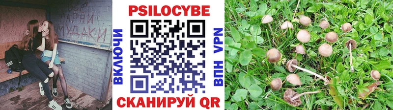 что такое наркотик  Будённовск  Псилоцибиновые грибы Psilocybe 